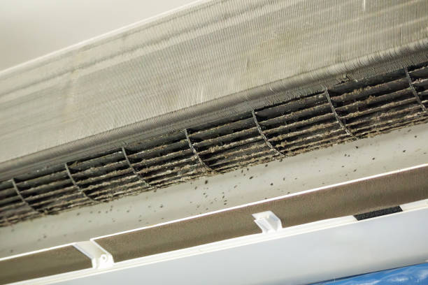 Best Local Air Duct Cleaning Services  in Porterdale, GA